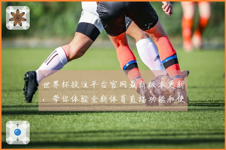 世界杯投注平台官网最新版本更新，带你体验全新体育直播功能和使用指南！