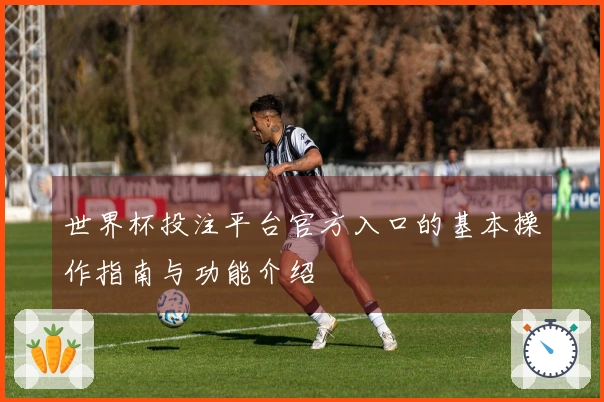 世界杯投注平台官方入口的基本操作指南与功能介绍