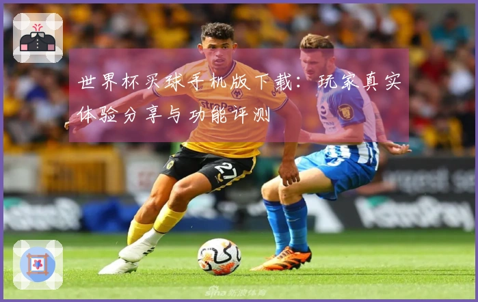 世界杯买球手机版下载：玩家真实体验分享与功能评测