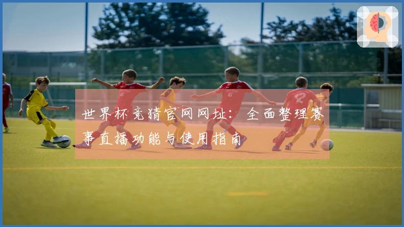 世界杯竞猜官网网址：全面整理赛事直播功能与使用指南
