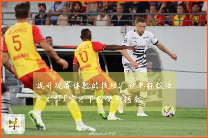 提升观赛体验的技巧：世界杯投注平台APP官方下载使用指南