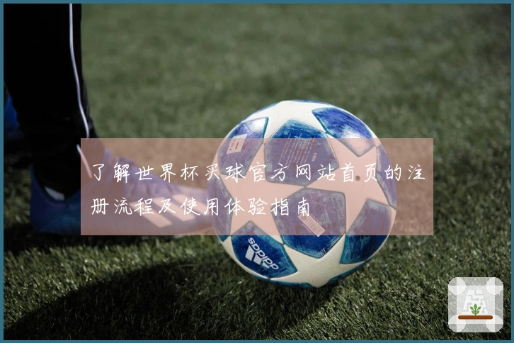 了解世界杯买球官方网站首页的注册流程及使用体验指南