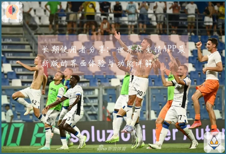 长期使用者分享:世界杯竞猜APP最新版的界面体验与功能详解