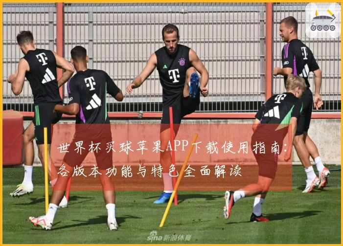 世界杯买球苹果APP下载使用指南：各版本功能与特色全面解读