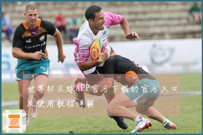 世界杯买球APP官方下载的官方入口及使用教程详解